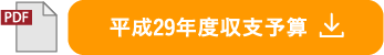 平成29年度収支予算書