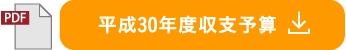 平成30年度収支予算書